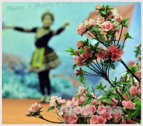Rực rỡ 'Lễ hội hoa đỗ quyên' trên đỉnh Fansipan ảnh 2