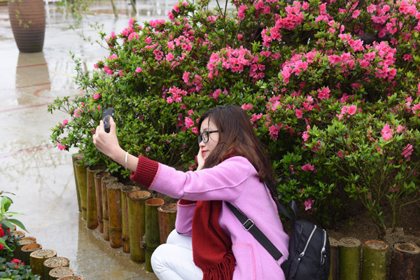 Lễ hội hoa đỗ quyên lần đầu tiên trên đỉnh Fansipan ảnh 8