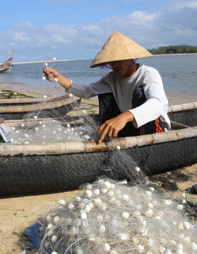 Trả lại yên bình cho biển miền Trung ảnh 2