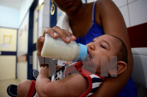 Kinh tế Mỹ Latinh chịu thiệt hại nặng nề do Zika ảnh 1