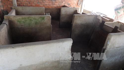Nhiều hộ chăn nuôi lợn ở Đồng Nai 'treo chuồng' vì giá xuống thấp ảnh 1