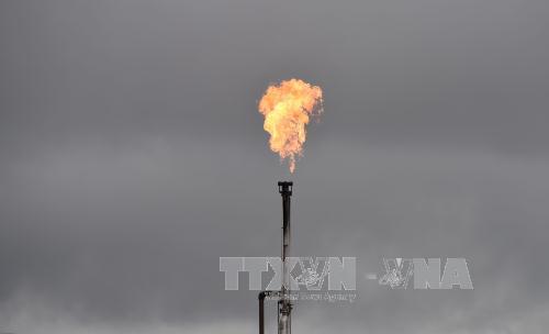 Giá dầu thế giới tiếp tục tăng do căng thẳng ở Trung Đông ảnh 1