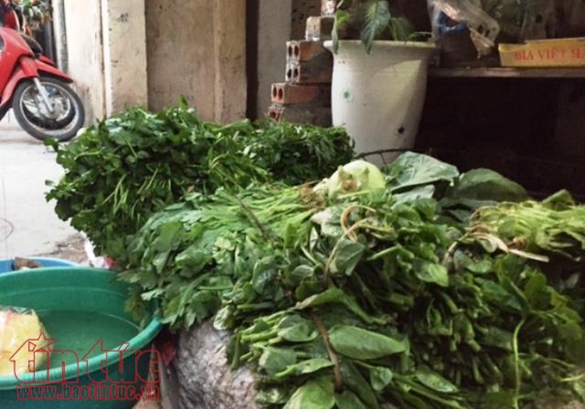 Đắt gấp 2-3 lần nhưng khó phân biệt rau hữu cơ và rau thường ảnh 1