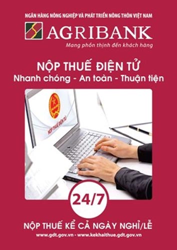 Nộp thuế vào ngân sách nhà nước qua hệ thống Agribank ảnh 2