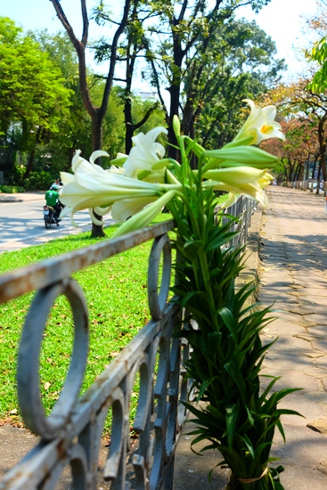 Tháng tư trong tay áo ảnh 2