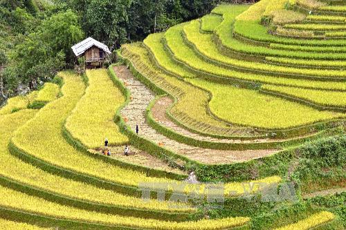 Tạo điểm nhấn quảng bá tiềm năng du lịch Yên Bái ảnh 2