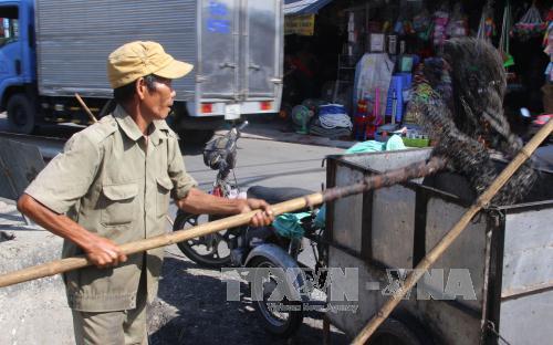 Người thương binh cần mẫn làm sạch dòng kênh bị ô nhiễm ảnh 1