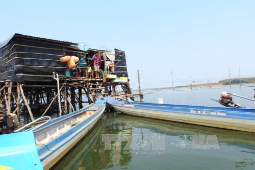 Nhiều vó cá xuất hiện bất thường trên lòng hồ Dầu Tiếng ảnh 2