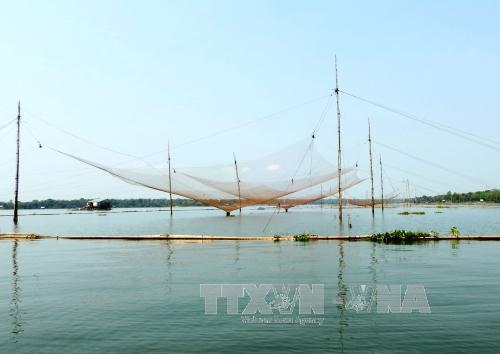 Nhiều vó cá xuất hiện bất thường trên lòng hồ Dầu Tiếng ảnh 3