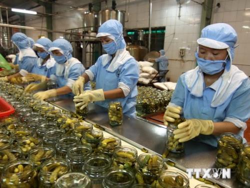  Xuất khẩu rau, quả ước đạt 1 tỷ USD ảnh 1