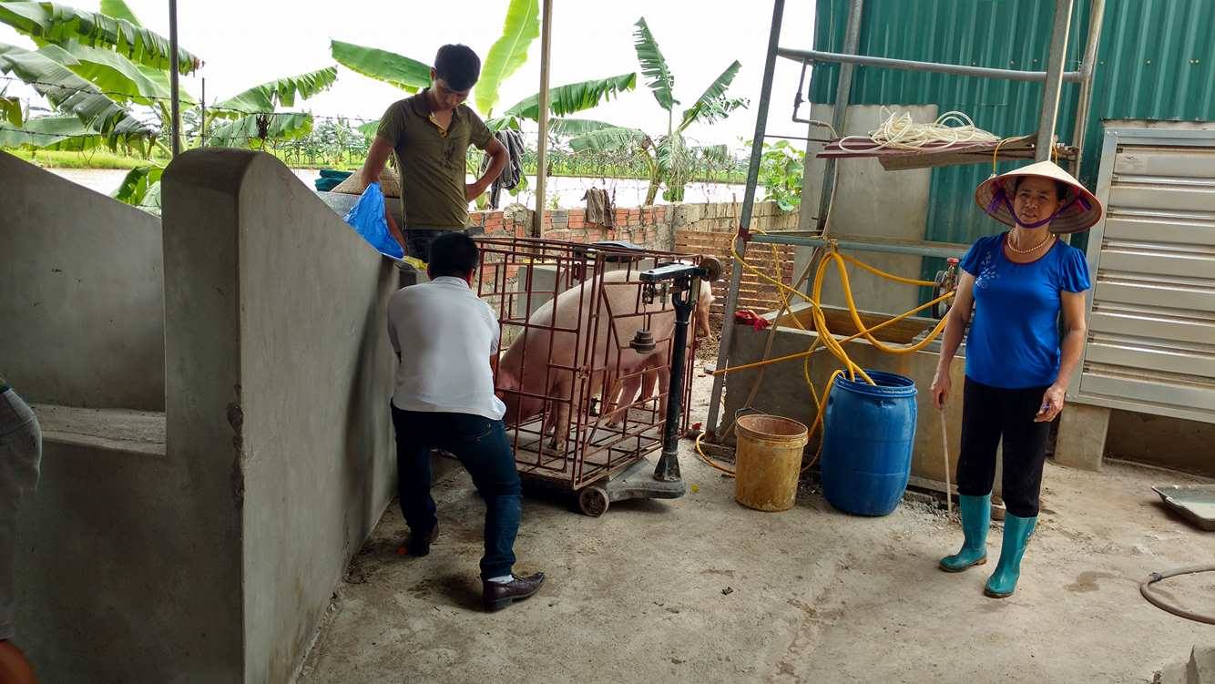 Nhiều siêu thị, doanh nghiệp tham gia giải cứu thịt lợn, bán hàng không lợi nhuận ảnh 2