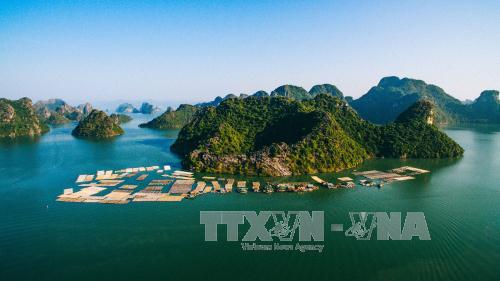 Hải Phòng khởi công dự án quần thể du lịch sinh thái Cát Bà ảnh 1