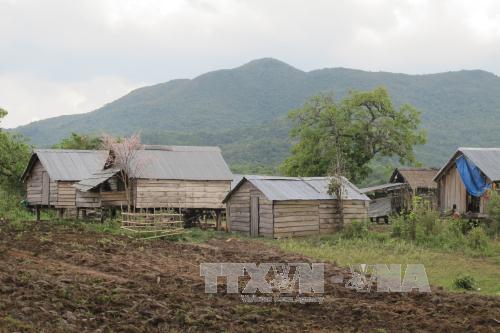 Khó khăn trong việc thu hồi đất rừng bị lấn chiếm ở huyện Krông Pa ảnh 2
