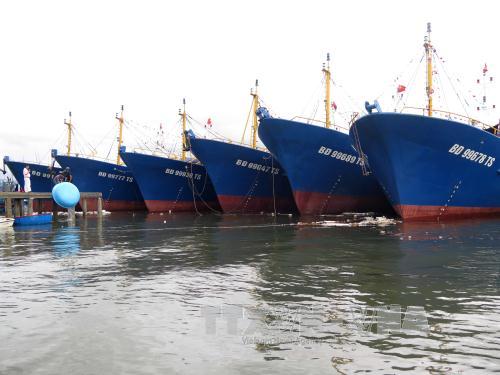 Cần sớm tháo gỡ khó khăn cho chủ tàu vỏ thép bị sự cố ảnh 1