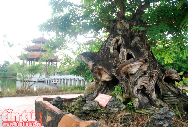 Chùa Nôm - ngôi chùa cổ nổi tiếng đất Hưng Yên ảnh 20