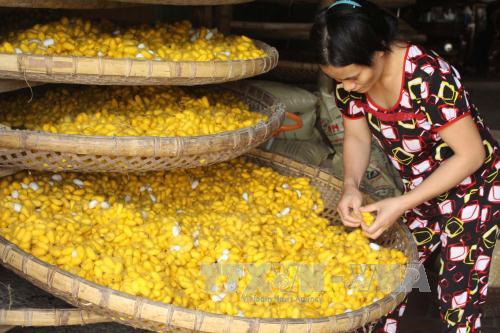 Thăng trầm nghề dệt nhiễu Hồng Đô ảnh 2