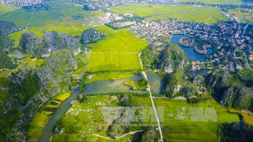  Chiêm ngưỡng mùa vàng đẹp như tranh ở Tam Cốc ảnh 8