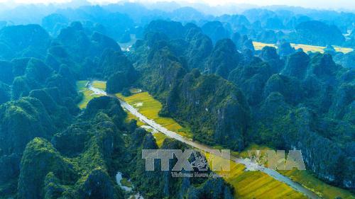  Chiêm ngưỡng mùa vàng đẹp như tranh ở Tam Cốc ảnh 9