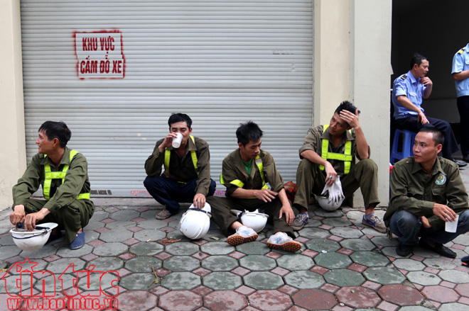 Hà Nội cắt tỉa cây xanh trước mùa mưa bão ảnh 12
