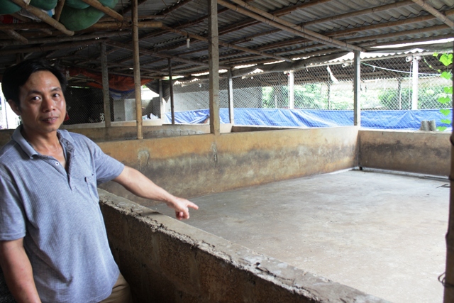 'Giải cứu' thịt lợn và bài học cho nông nghiệp Việt Nam ảnh 1