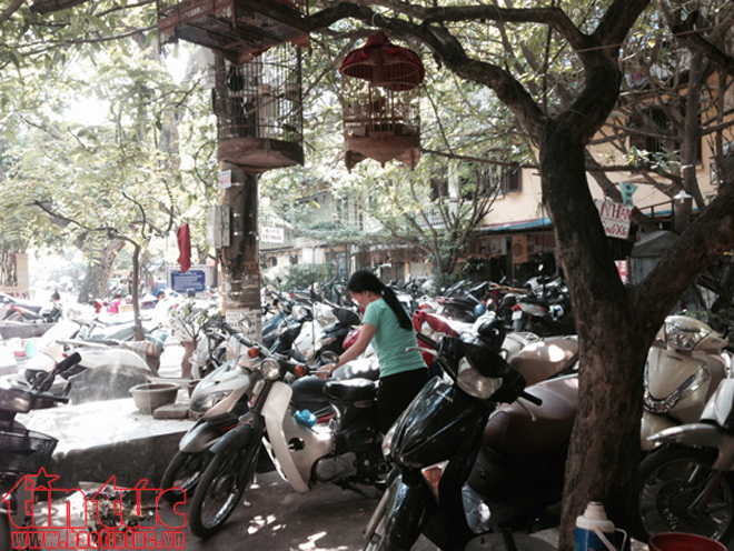 Sân chơi trẻ em đang bị bỏ rơi ảnh 3