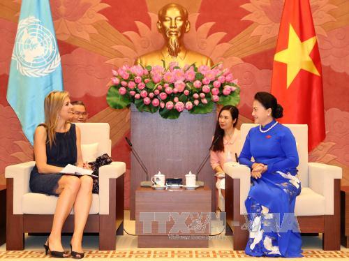 Thúc đẩy triển khai hiệu quả tài chính toàn diện ảnh 1