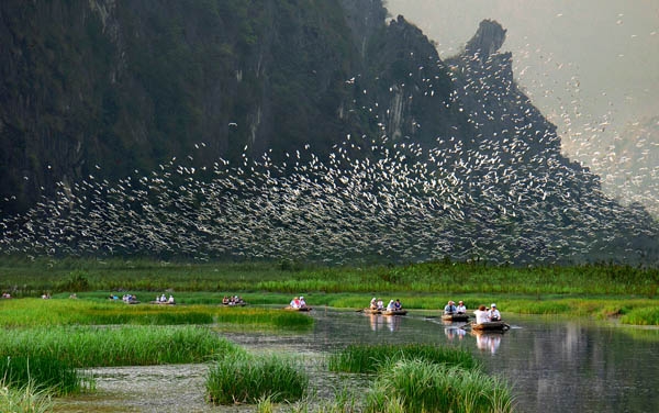 Kinh nghiệm du ngoạn Ninh Bình khách du lịch cần phải chú ý
Bí kíp phượt Ninh Bình một mình