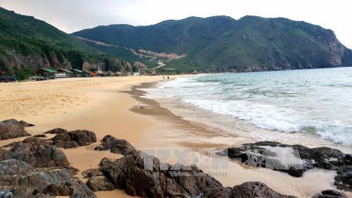 Ngư dân làm tour du lịch biển đảo ảnh 1