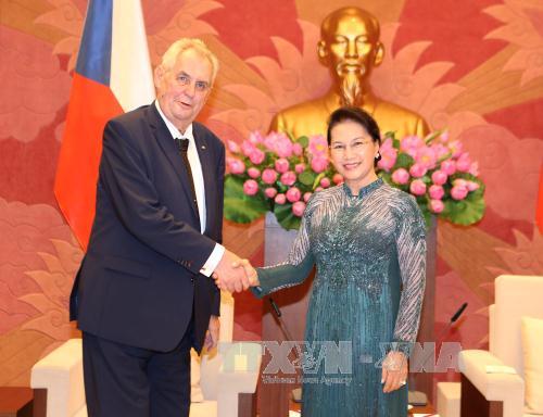  Chủ tịch Quốc hội Nguyễn Thị Kim Ngân hội kiến Tổng thống Cộng hòa Séc ảnh 1