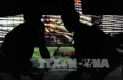 Đưa nghệ thuật truyền thống thành sản phẩm du lịch hấp dẫn ảnh 1