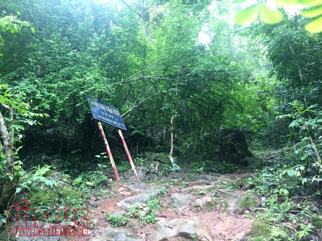 Căng sức chống buôn lậu - Bài 1: Từ tinh vi đến táo tợn ảnh 1
