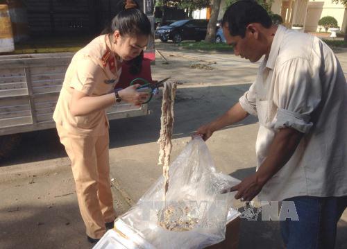 Bắt giữ xe vận chuyển 4,5 tấn nội tạng bốc mùi hôi thối