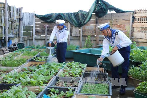 Giải pháp mới cho 'Trường Sa xanh' ảnh 1