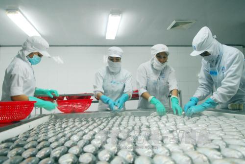 Xây dựng thương hiệu để nâng sức cạnh tranh cho hàng hóa xuất khẩu ảnh 1