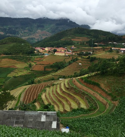 Mù Cang Chải mùa nước đổ ảnh 2