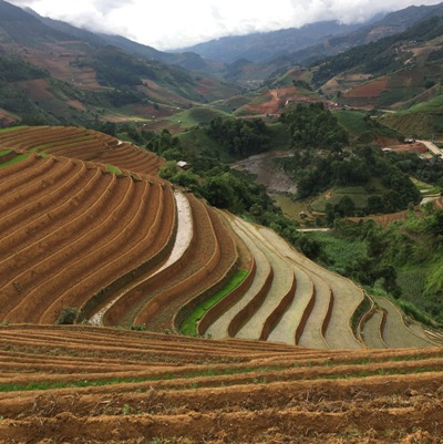 Mù Cang Chải mùa nước đổ ảnh 4