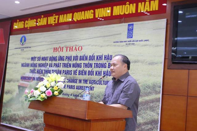 300 người chết mỗi năm do biến đổi khí hậu cực đoan ảnh 1