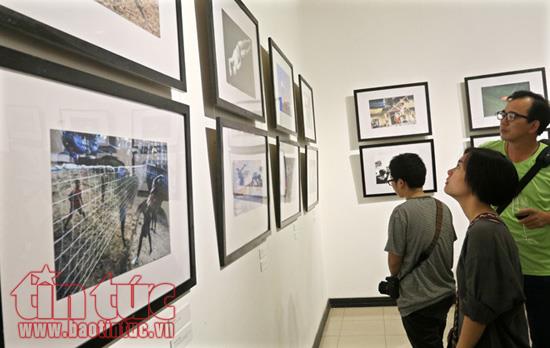 Khai mạc Triển lãm ảnh 'Dấu ấn' ảnh 2