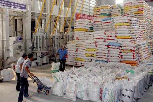 Doanh nghiệp xuất khẩu gạo chờ được 'cởi trói' ảnh 1