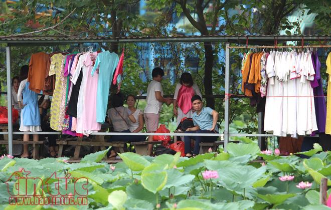 Chen chân chụp ảnh sen Hồ Tây ảnh 2