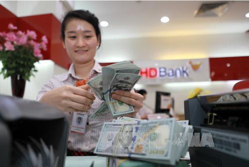 Vì sao tỷ giá vẫn ổn định khi Fed tăng lãi suất? ảnh 1