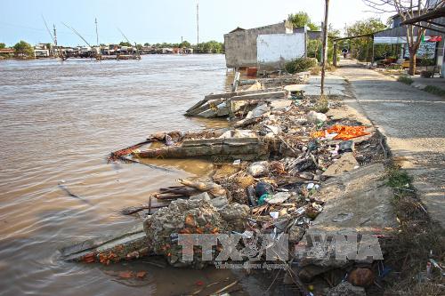 Nỗi lo sạt lở trong mùa mưa bão ở Cà Mau ảnh 1