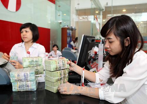 Lãi suất có thể giảm từ 0,5 - 1% ở các kỳ hạn ảnh 1