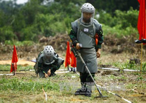 Nâng cao năng lực của công binh Việt Nam tham gia gìn giữ hòa bình ảnh 2
