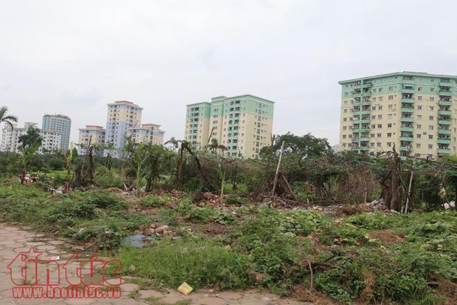 Sông Thủ đô 'thoi thóp' vì bùn, rác ảnh 6