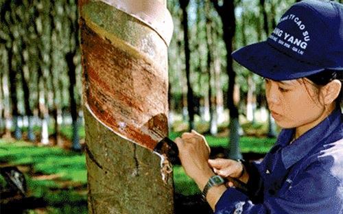 Hoàn thiện hồ sơ cổ phần hóa hai tổng công ty, tập đoàn Nhà nước ảnh 1