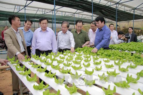Lâm Đồng cần tập trung sản xuất nông nghiệp công nghệ cao ảnh 2