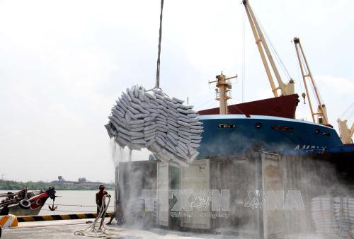 6 tháng nhập siêu 2,7 tỷ USD, nhưng không đáng lo ảnh 1