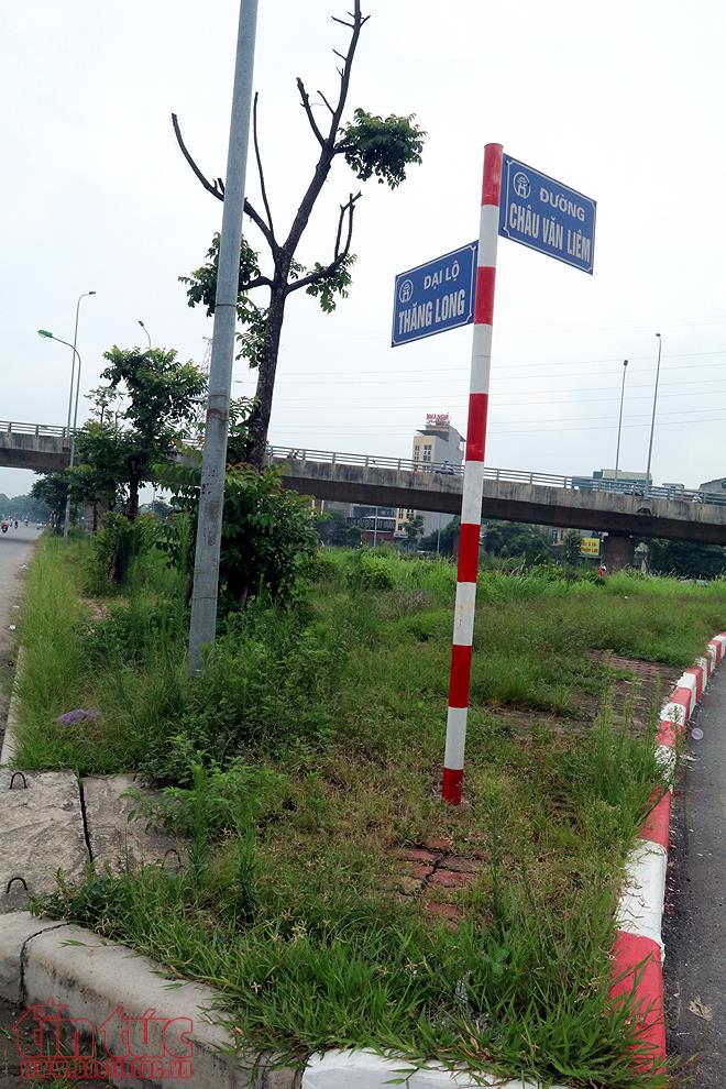 Đại lộ Thăng Long cỏ dại cao ngút đầu, ngổn ngang rác thải ảnh 5