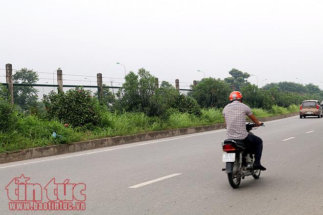 Đại lộ Thăng Long cỏ dại cao ngút đầu, ngổn ngang rác thải ảnh 9
